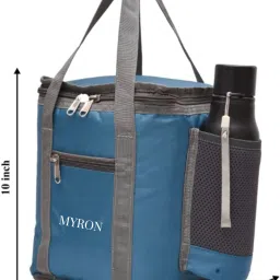 Insulated Lunch/Tiffin Bag for school, college, office, picnic men & women Waterproof Lunch Bag-image-87