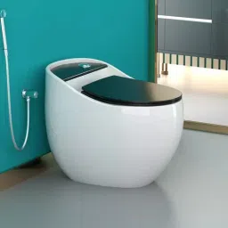 Preimum Grade Ceramic's One Piece Floor Mounted Commode Western Commode-image-51