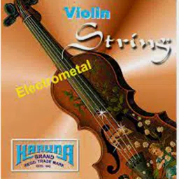 Violin Electrometal string set EADG Veena String-12