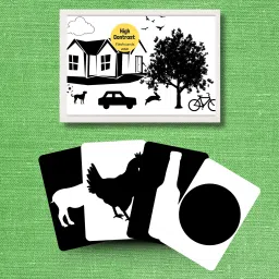 Black and White Flashcards for Infants: Enhance Early Learning-41