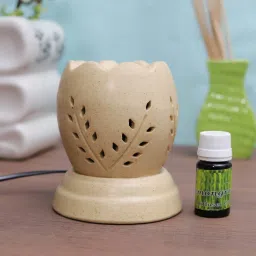 Citrus Diffuser Set-57