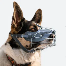 Strong Stainless Steel Dog Muzzle Medium Other Dog Muzzle-10