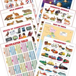 Kid's 1st Learning Charts [S] : Set 29 (Human Anatomy, Solar System, Multiplication Tables, Map of India, Wild Animals, Domestic Animals, Transport & Communications)-3