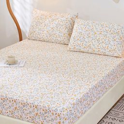 JC HOME Peach-Coloured & Green 200 TC Fitted Cotton Queen Bedsheet & Pillow Covers-image-97