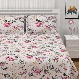 BILBERRY Cream & Pink Floral Printed Pure Cotton 180 TC King Bedsheet Set 2.74m x 2.74m-27