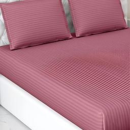 haus & kinder Pink Striped 210 TC Pure Cotton King Bedsheet With 2 Pillow Covers-image-20