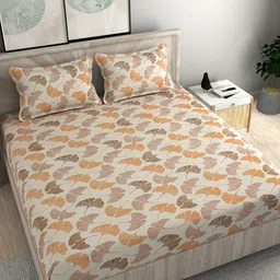 FINE TEX WORLD Brown Floral 210 TC King Fitted 160GSM Bedsheet With 2 Pillow Covers-image-79
