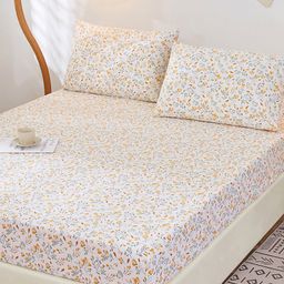 JC HOME Yellow & White 200 TC Pure Cotton Fitted King Bedsheet & 2 Pillow Covers-image-51