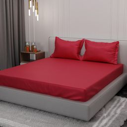 Stoa Paris Date Night 300 TC Fitted King Sheet with 2 Pillow Covers-image-17