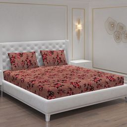 Moca By Monte Carlo Dazzle Brown & Pink Microfiber120 TC Queen Bedsheet & 2 Pillow Covers-image-43