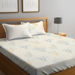KLOTTHE Off White & Blue Floral 300 TC King Bedsheet with 2 Pillow Covers-image-46