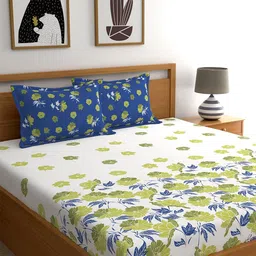 Dreamscape White & Blue Floral 140 TC Pure Cotton Queen Bedsheet with 2 Pillow Covers-image-63