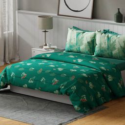 United Colors of Benetton Teal Green Pure Cotton Super King Bedsheet with 2 Pillow Covers-image-114