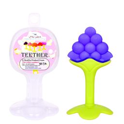 The Little Lookers Kids Green & Blue Silicone Fruit Shape Teether-44