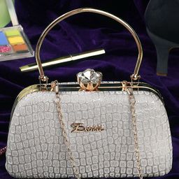 Exotic Embellished Box Clutch-4