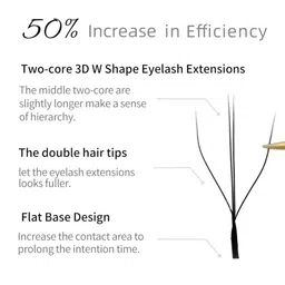 NAGARAKU Black 12 Rows W Shape 3D Two-Core Volume Eyelash Extensions - Curl D - 0.07/12 image 2