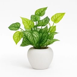 BAARIG Money Plant Artificial Plant with Pot for Home & Office Decor Artificial Plant with Pot-image-0