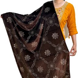 Velvet Embellished Maroon Women Dupatta-image-5
