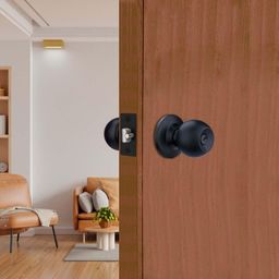 godrej locks Stainless Steel Matte Door knobs-picture-46
