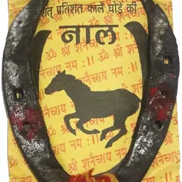 BRAJBazar Horse Shoe Ring-20