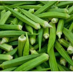 exotic lady finger seeds pack of 27 Seed-image-98