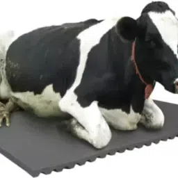 Cow Mat, Feeding Mat, BPA Free, Easy Clean, Dishwasher Safe, Waterproof | Cow, Hamster Pet Mat-image-56