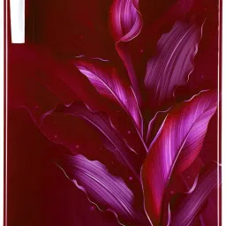 185 L Direct Cool Single Door 5 Star Refrigerator-picture-14