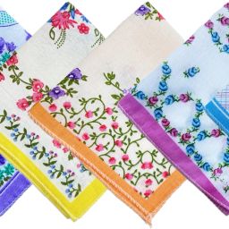 Gopika Women's Cotton Color Border Casual Style Handkerchief ["Multicolor"] Handkerchief-image-3