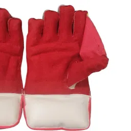 WICKET KEEPING RED & WHITE LEATHER_ Wicket Keeping Gloves-image-26