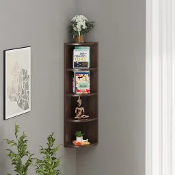 Adora Engineered Wood Open Book Shelf-24