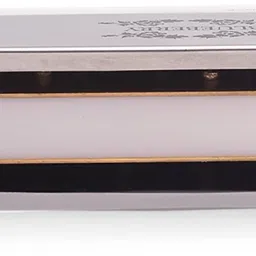 festra R-2403,Harmonica 48-Tone Scale-Changer 24 Hole Key of C Mouth organ With Case image 5