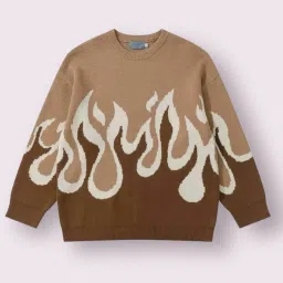 Men Colorblock Round Neck Brown Sweater-image-50