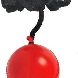 Tennis Ball Tennis Ball-image-37