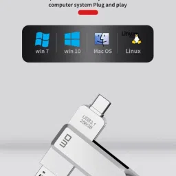 DM PD168 256GB USB 3.1 Type C High-Speed Metal Pendrive for PC, Laptop, Mac Book, 256 GB OTG Drive Compatible with Tablet, Desktop Computer, Tablet, Netbook, Mobile, Audio Player, Television USB 3.1 Metal Case image 2