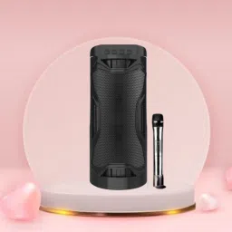 SACRO Bluetooth Party Speaker Long Battery Life With Crydtal Sound & Deep Bass F273 30 W Bluetooth Laptop/Desktop Speaker-image-93