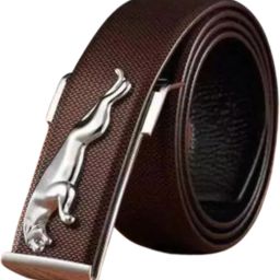 Men & Women Casual, Evening, Party Black, Gold Artificial Leather, Metal Belt-image-54