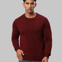 Men Self Design Round Neck Maroon Sweater-image-77