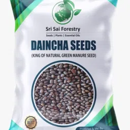 Daincha Grass Seeds, Green Manure Plant Seed-image-32