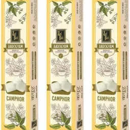 Aarogyam Camphor Incense Sticks Kapoor Incense Stick | No Charcoal Camphor (Kapoor)-image-17