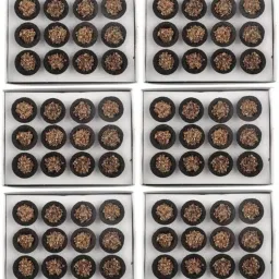 72 Guggal Loban Pooja Cups l Puja Item l With Sambrani (Pack of 6) Guggul Dhoop-picture-28