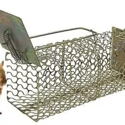 Total Solution Rat Killer Pack Rat/Mouse/Rodent Trap Cage Rustic Copper Live Trap-20
