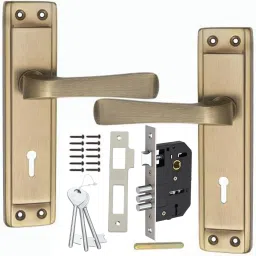 Steel, Iron, Brass Glossy Handlesets-image-11