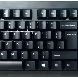 Tvs Electronics Champ XL Wired USB Standard Desktop Keyboard Compatible with Desktop, Laptop, Tablet, iPad, Mac-13