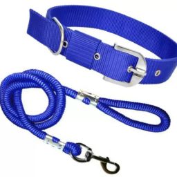 Nylon Dog Collar with 15MM Rope Combo Dog Collar & Leash-image-83