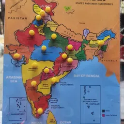 Indian Colorful Wooden MAP Tray-31
