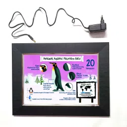 PENGUIN BIRD LED FRAME 11.5 BY 15.55 15.5 inch LED PHOTO FRAME-image-47