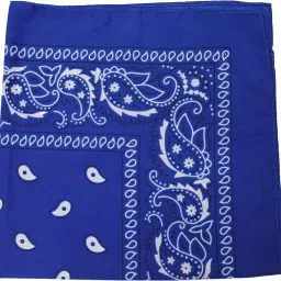 S4S Pack of 4 Double Side Print Unisex Pure Cotton Bandana (21 INCH X 21 INCH) ["RED, ROYAL BLUE, WHITE, NAVY BLUE"] Handkerchief image 4