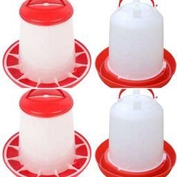 Common Bird Feeder-image-57
