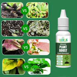 Plant Growth Enhancer Supplement, Root Enhancer For Plants Growth Supplement Fertilizer-image-19