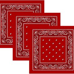 S4S Pack of 3 Double Side Print Unisex Pure Cotton Bandana (21 INCH X 21 INCH) ["Red"] Handkerchief-image-101